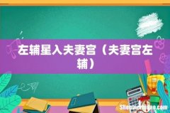 夫妻宫左辅 左辅星入夫妻宫