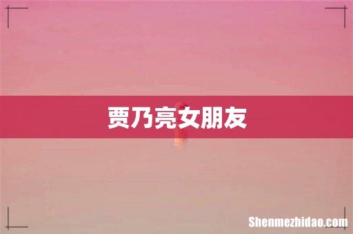 贾乃亮女朋友