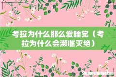 考拉为什么会濒临灭绝 考拉为什么那么爱睡觉