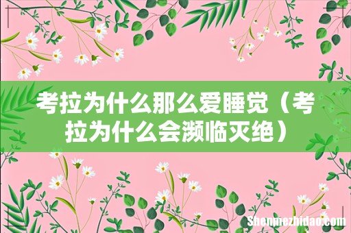 考拉为什么会濒临灭绝 考拉为什么那么爱睡觉