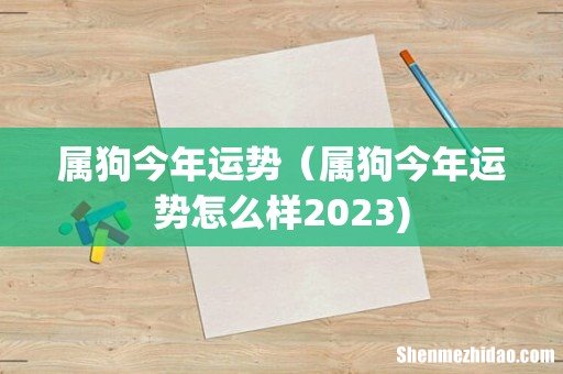 属狗今年运势（属狗今年运势怎么样2023)
