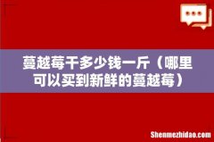 哪里可以买到新鲜的蔓越莓 蔓越莓干多少钱一斤