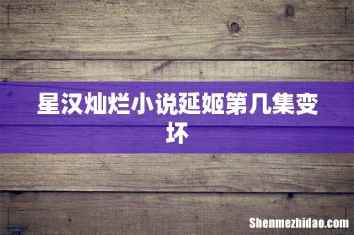 星汉灿烂小说延姬第几集变坏