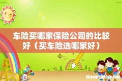 买车险选哪家好 车险买哪家保险公司的比较好