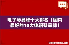 国内最好的10大电钢琴品牌 电子琴品牌十大排名