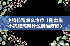 刚出生小狗腹泻用什么药治疗好 小狗拉稀怎么治疗