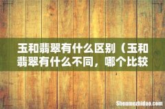 玉和翡翠有什么不同，哪个比较好 玉和翡翠有什么区别