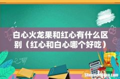 红心和白心哪个好吃 白心火龙果和红心有什么区别