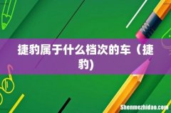 捷豹属于什么档次的车（捷豹)