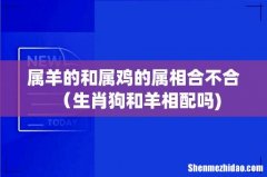 属羊的和属鸡的属相合不合（生肖狗和羊相配吗)