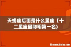 天蝎座后面是什么星座（十二星座最聪明第一名)