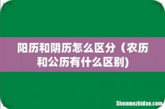 阳历和阴历怎么区分（农历和公历有什么区别)
