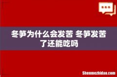 冬笋为什么会发苦 冬笋发苦了还能吃吗