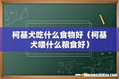 柯基犬喂什么粮食好 柯基犬吃什么食物好