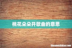 桃花朵朵开歌曲的意思