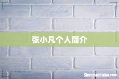 张小凡个人简介
