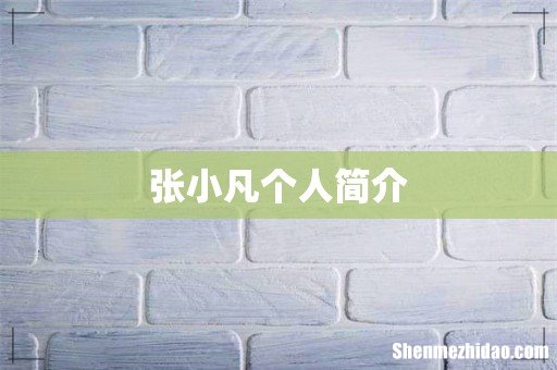 张小凡个人简介