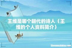 王维的个人资料简介 王维是哪个朝代的诗人