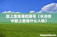 水浒传中鼓上蚤是什么人物 鼓上蚤是谁的绰号