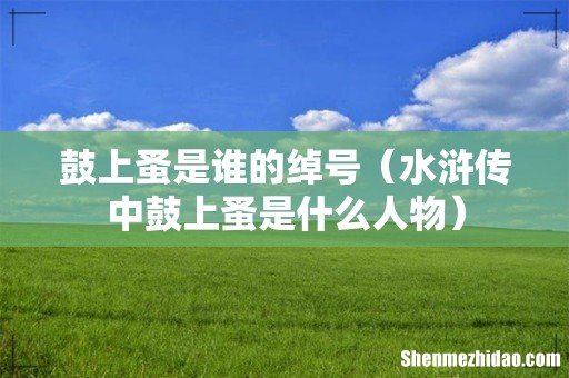 水浒传中鼓上蚤是什么人物 鼓上蚤是谁的绰号