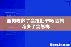 西梅吃多了会拉肚子吗 西梅吃多了会怎样