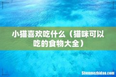 猫咪可以吃的食物大全 小猫喜欢吃什么