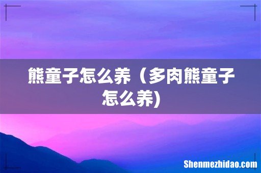 熊童子怎么养（多肉熊童子怎么养)
