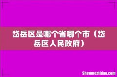 岱岳区人民政府 岱岳区是哪个省哪个市