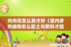 室内多肉植物怎么配土与肥料才能养得好 肉肉花怎么养才好