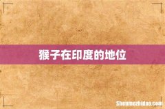 猴子在印度的地位