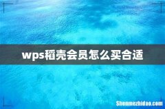 wps稻壳会员怎么买合适