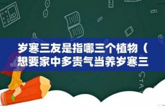 想要家中多贵气当养岁寒三友 岁寒三友是指哪三个植物