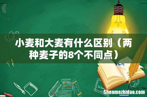 两种麦子的8个不同点 小麦和大麦有什么区别