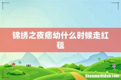 锦绣之夜痞幼什么时候走红毯