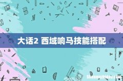 大话2 西域响马技能搭配