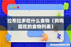 狗狗能吃的食物列表 拉布拉多吃什么食物