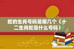 十二生肖蛇是什么号码 蛇的生肖号码是哪几个