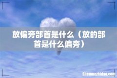 放的部首是什么偏旁 放偏旁部首是什么