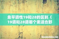 19调和28调哪个更适合野钓 鱼竿调性19和28的区别
