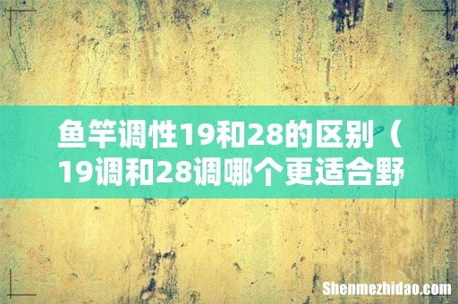 19调和28调哪个更适合野钓 鱼竿调性19和28的区别