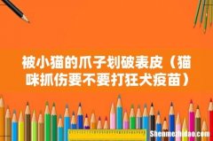 猫咪抓伤要不要打狂犬疫苗 被小猫的爪子划破表皮