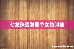 七龙珠变发那个女的叫啥
