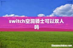 switch空洞骑士可以双人吗