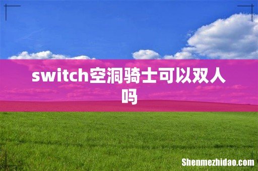 switch空洞骑士可以双人吗