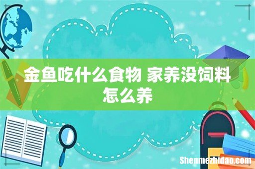 金鱼吃什么食物 家养没饲料怎么养