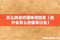 去外省怎么把猫带过去 怎么跨省把猫咪带回家