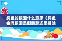 鳄鱼会流眼泪是假慈悲还是排除盐分 鳄鱼的眼泪什么意思