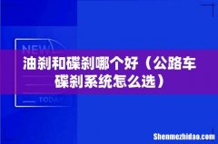 公路车碟刹系统怎么选 油刹和碟刹哪个好