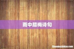 雨中腊梅诗句
