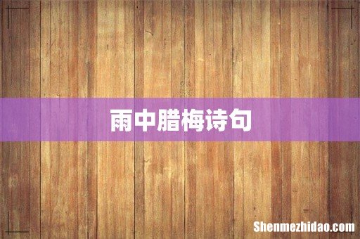 雨中腊梅诗句